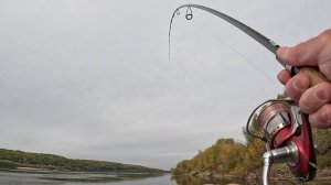 Джиг-Провокатор ловит Осенних Трофеев! Рыбалка на Оке 2025 Осень! Дмитрий Карпов