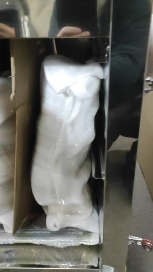 Коптильня камера на 10-15 кг загрузки перед отправкой.