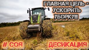 «Десикация сои под угрозой: трактор в плену у грязи»/class axion 950 как всегда выручает!!!
