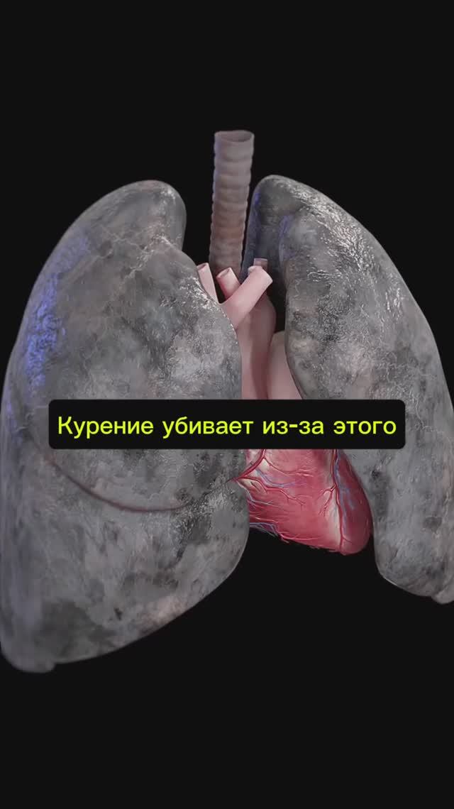 Вот почему курение убивает смотреть онлайн
