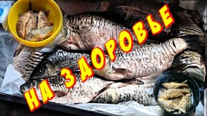 Как пожарить рыбу очень вкусно