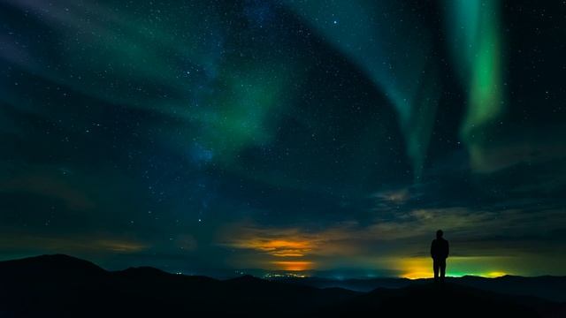 Дикая природа 4К 8К Full HD ультра (Wildlife 4K 8K Full HD Ultra) смотреть онлайн