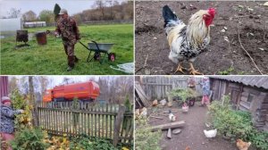 ХОРОШО ПОРАБОТАЛИ НА УЛИЦЕ, НАВЕЛИ ПОРЯДОК В КУРЯТНИКЕ.