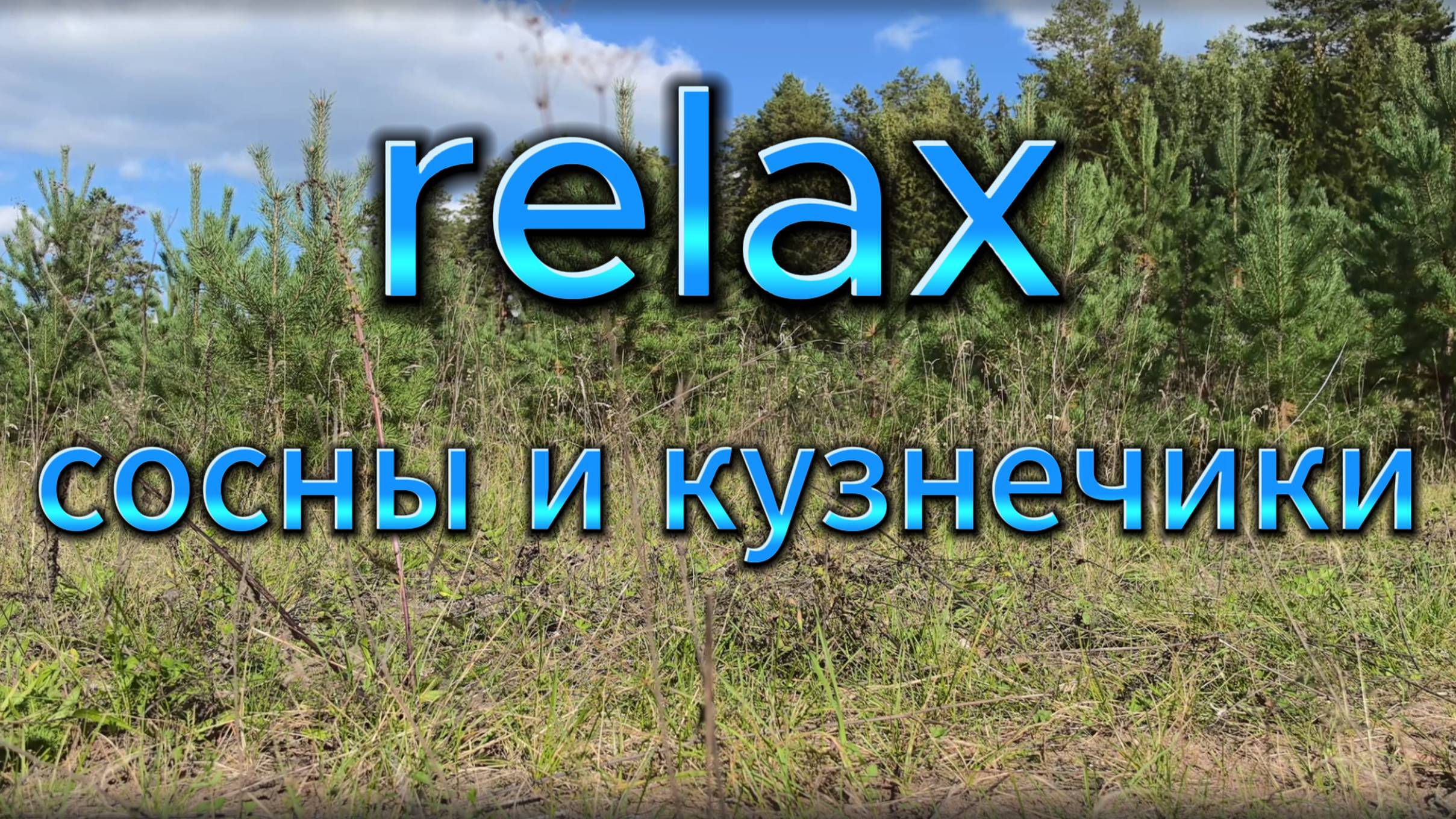 Расслабление в объятиях природы: сосны и кузнечики смотреть онлайн