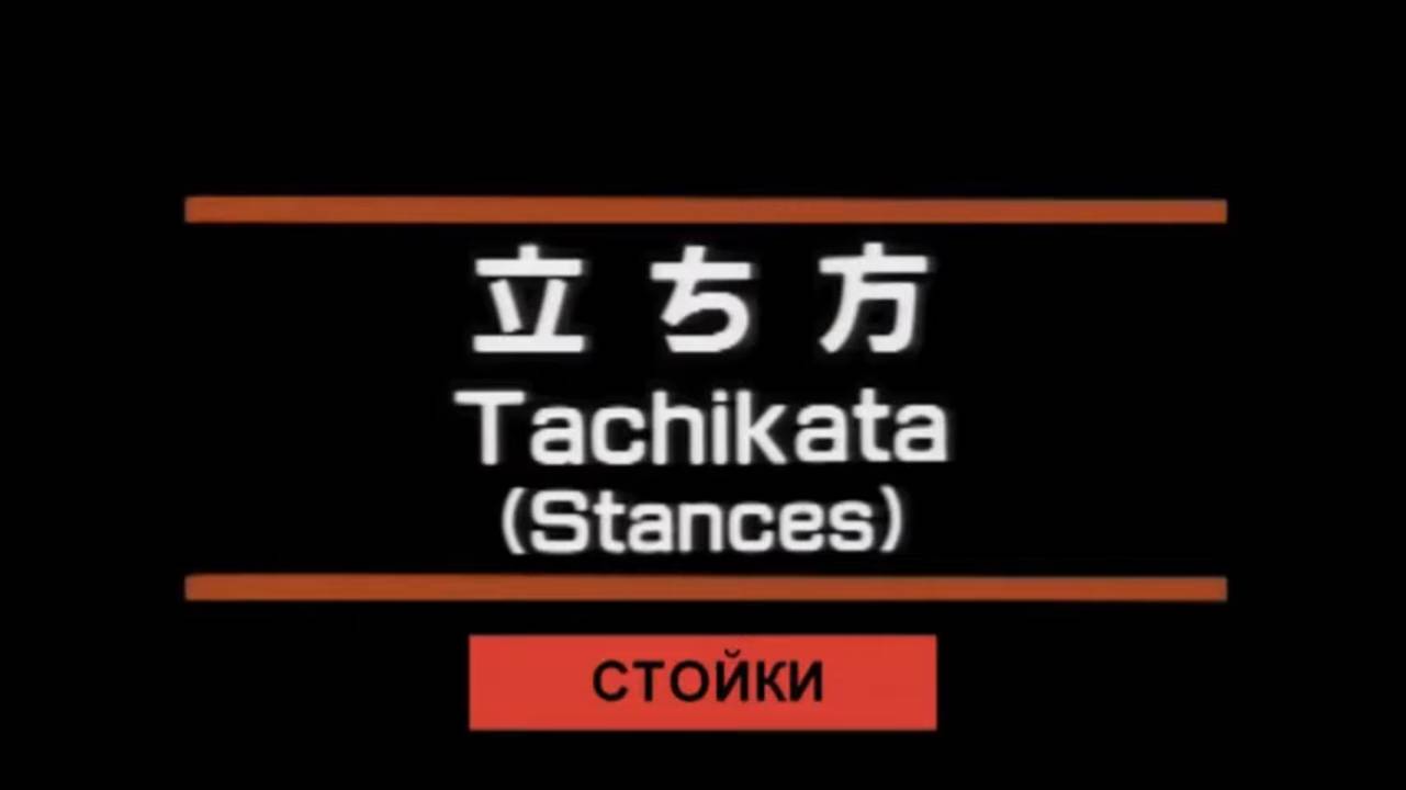 Стойки в карате кёкусинкай смотреть онлайн