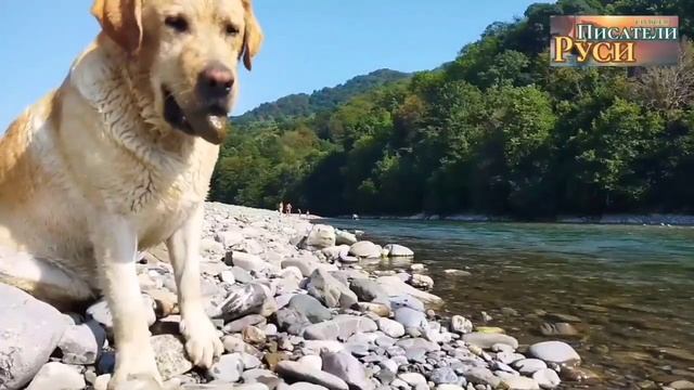 Господь услышит страдание твое
24 октября.
«Ангел Господень сказал ей: «возвратись к госпоже своей и смотреть онлайн