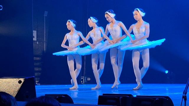 Детский балет Лебединое озеро смотреть онлайн