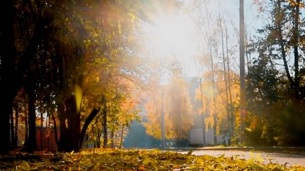 Dr. Project Point Blank Blues Band  -  A Song for V. @MariMari142