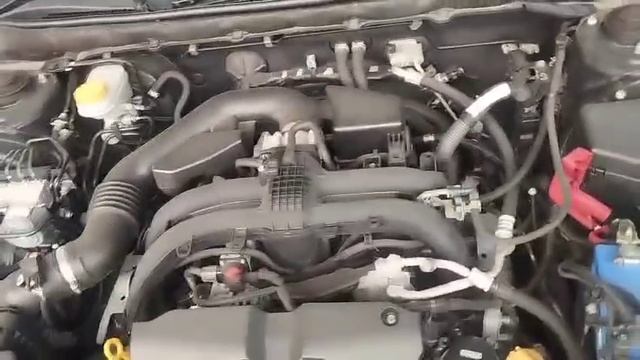 5462.mp4 смотреть онлайн