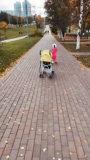 Бегает наперегонки с коляской и выигрывает🤭 смотреть онлайн