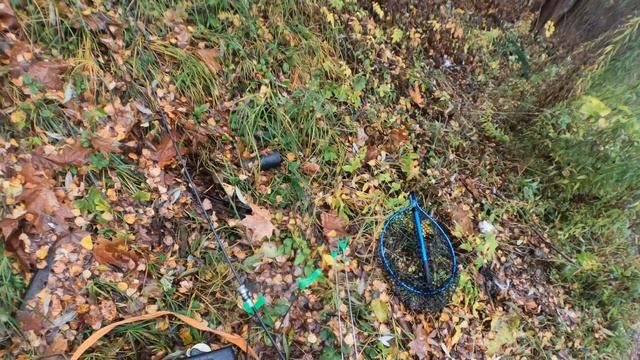 Осенний жор р.Десна , ловим на 