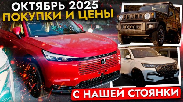 Эти АВТО покупают в октябре 2025❗️ Актуальные цены: Vezel, StepWGN, Levorg, Wish, N-BOX, XC40, UNI-T