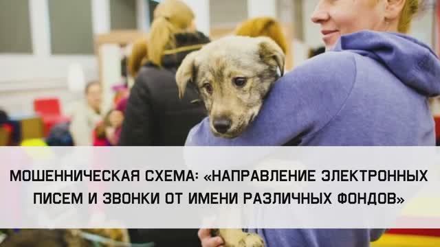 Мошенническая схема «Электронные письма, сообщения извонки от имени различных фондов» смотреть онлайн