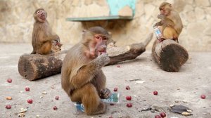 Это мне и это мне - я себя не обделил? Маняша своё уже так просто не отдаст еще и у Степана заберет!