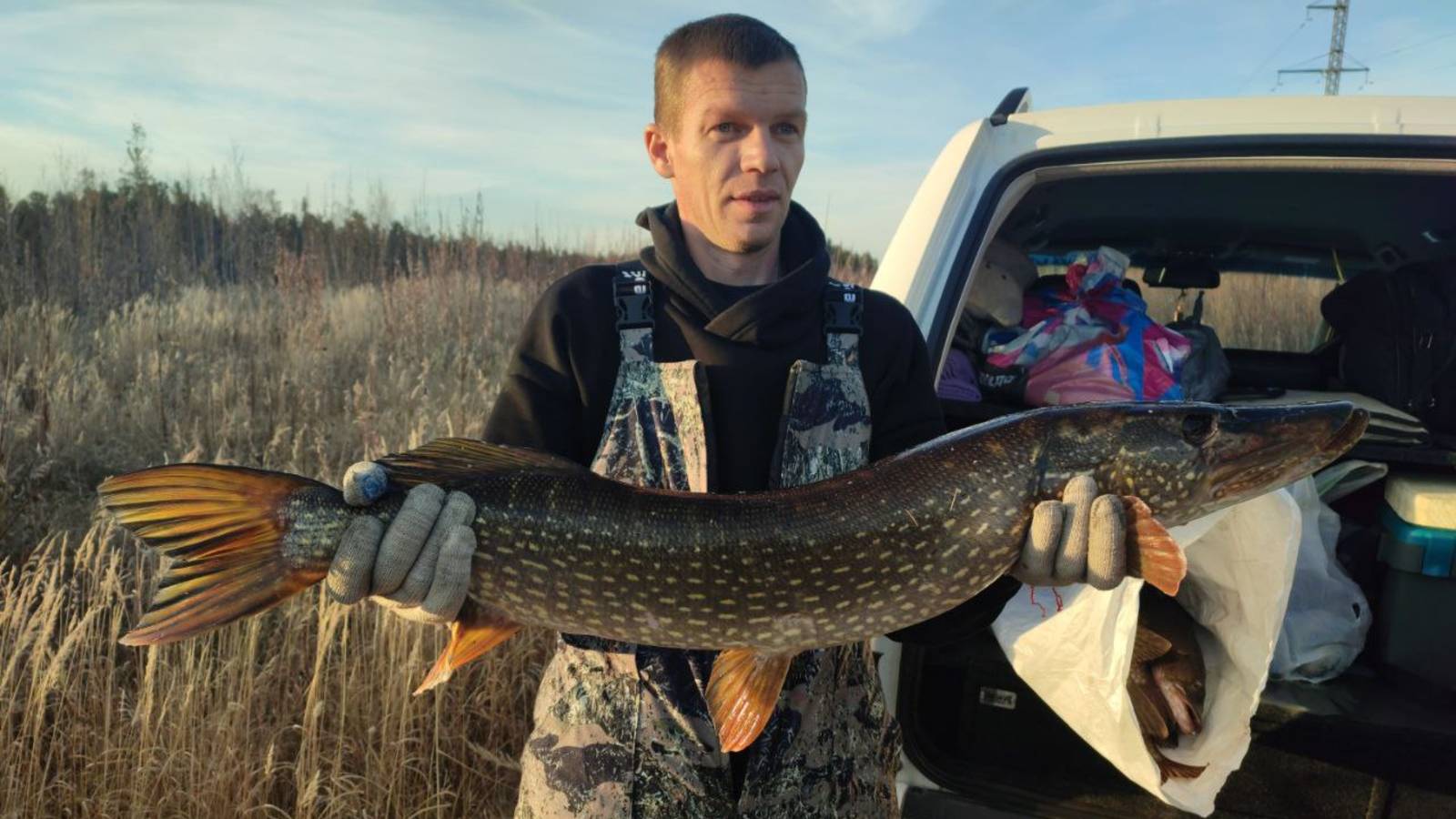 Открытие зимней рыбалки,первый лед без снега.Ловля щуки на жерлицы. смотреть онлайн