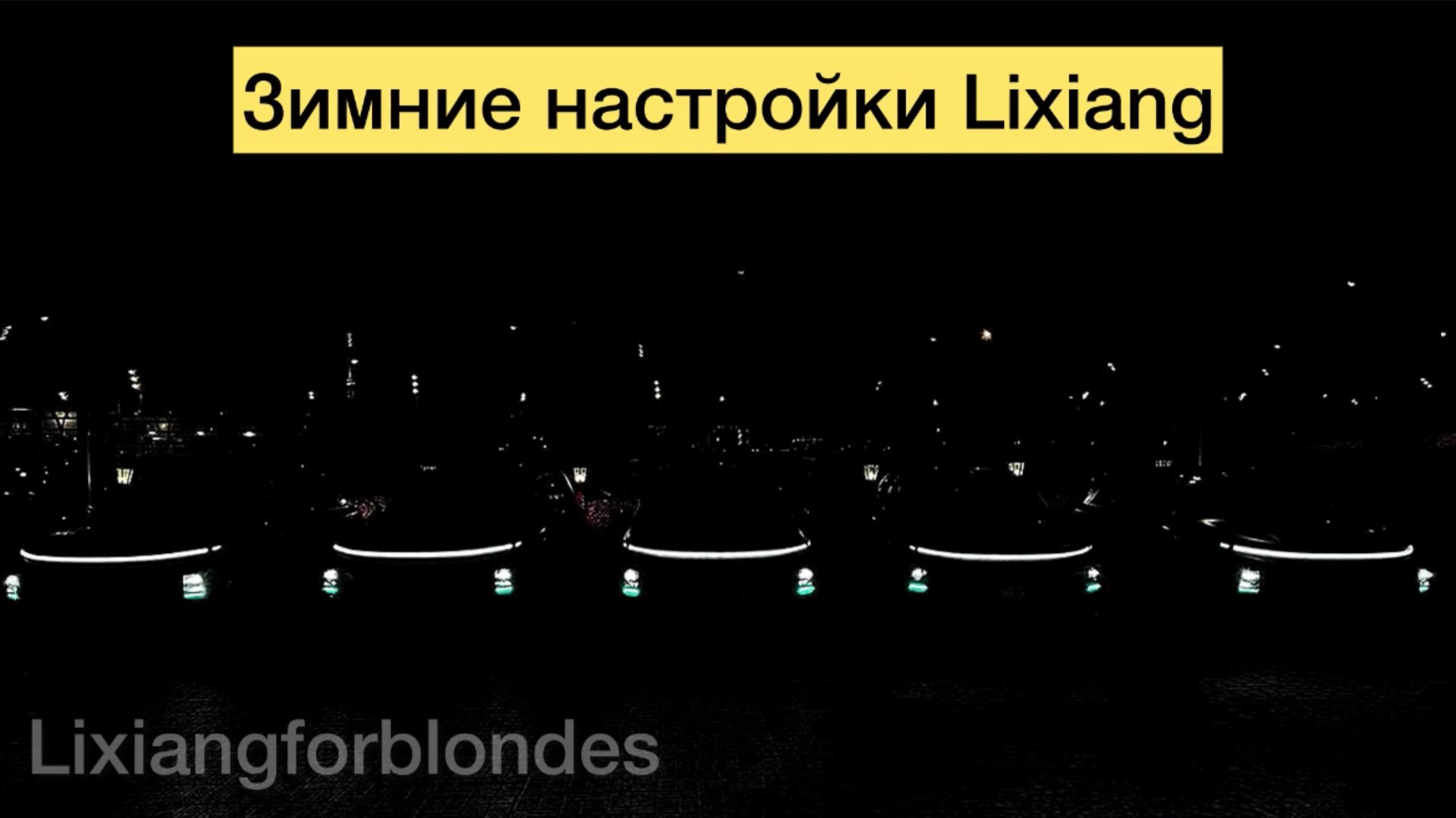 Зимние настройки Lixiang