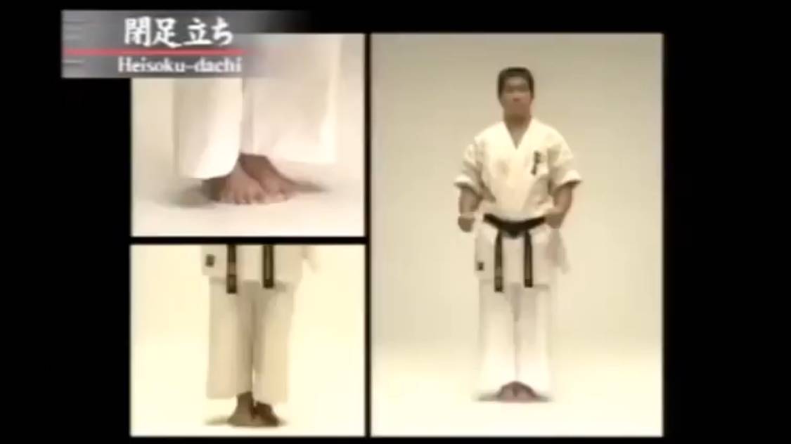 Стойки в карате кёкусинкай (дополнение) смотреть онлайн