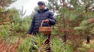 Грибы в конце октября! Пошли маслята! Корзинка грибов! Грибы 2025