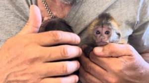 Я не могу оторваться от этой МИЛОТЫ! Анфиса с Фиником не могут поделить папу Влада!