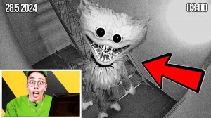 КАМЕРЫ ВИДЕОНАБЛЮДЕНИЯ сняли ХАГГИ ВАГГИ в МОЕМ ПОДЬЕЗДЕ !!