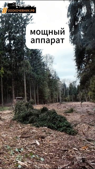 Рабочая лошадка по расчистке территорий от древесно-кустарниковой растительности смотреть онлайн