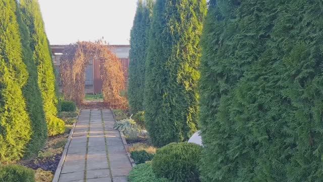 На даче 21.10.25г.🍁🍂Дачный сезон закрыли , а работы не кончаются!🍁🍂 смотреть онлайн