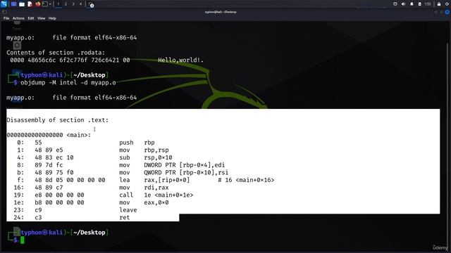 7.002 Revealing Contents of Object File смотреть онлайн
