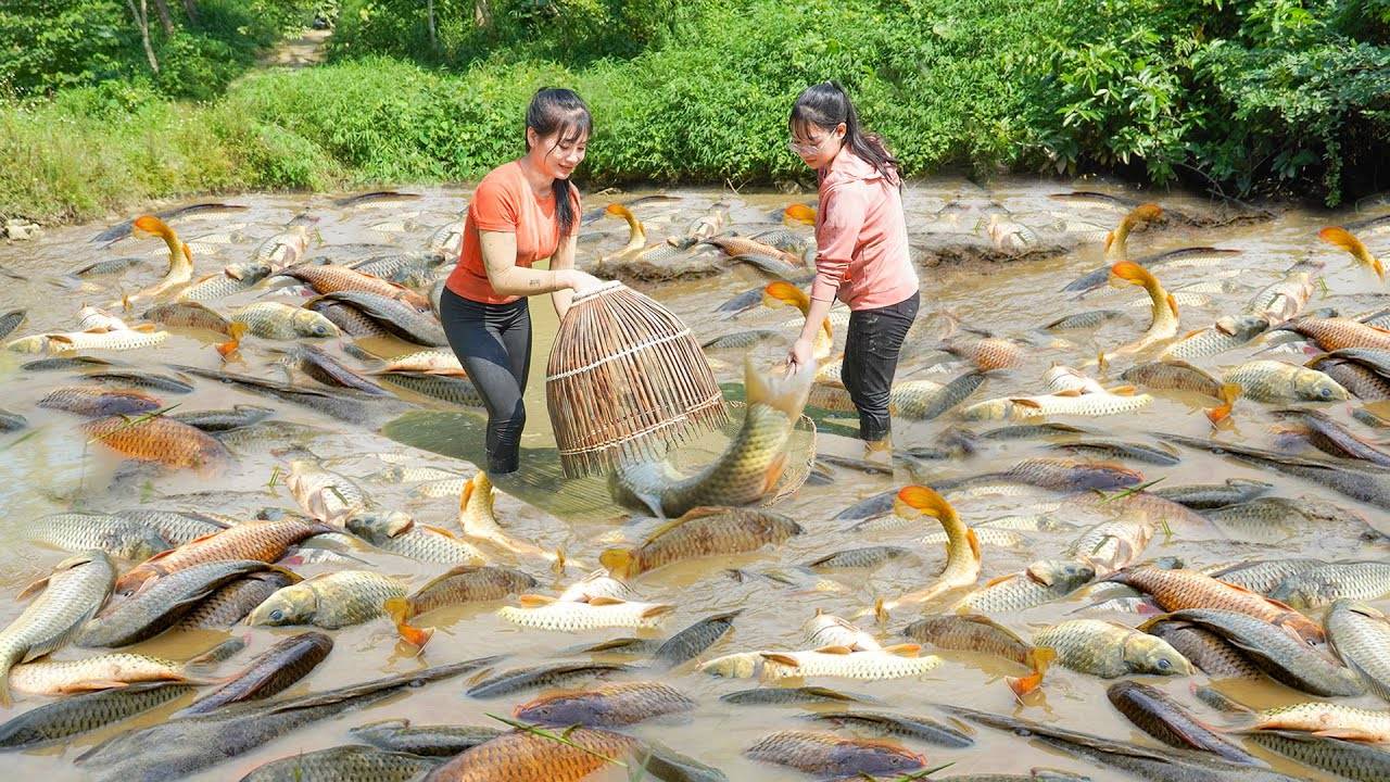 Dredging Fishing Nets To Harvest Many Carps To Sell To Villagers. My Bushcraft. смотреть онлайн