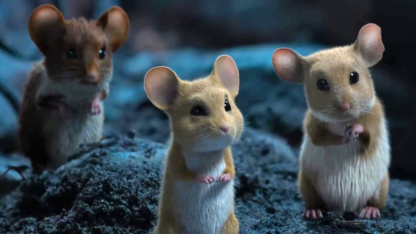 Мышиный переполох — Русский трейлер (2025) смотреть онлайн