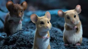 Мышиный переполох — Русский трейлер (2025)