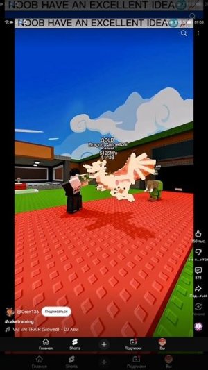 SVID_20251022_090807_1.mp4