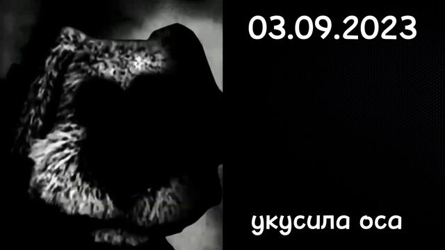 Оцениваю даты,в которых я живу:жуткие лица бена смотреть онлайн