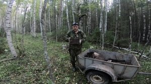 Коп Металла в -ТАЙГЕ- Много Русских печей. Здесь были хозпостройки. Попадается печное Железо