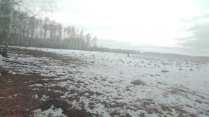 СКВОЗЬ СНЕГ И ТУМАН: ОСЕННИЙ КОП - КАК ЭТО БЫЛО