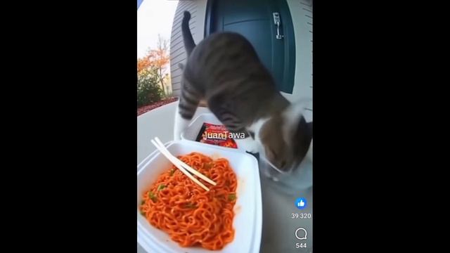 Мексиканская смесь овощей из Светофора смотреть онлайн