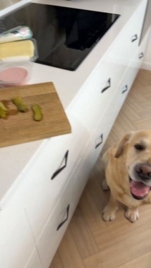 Дени сам знает, что можно😂