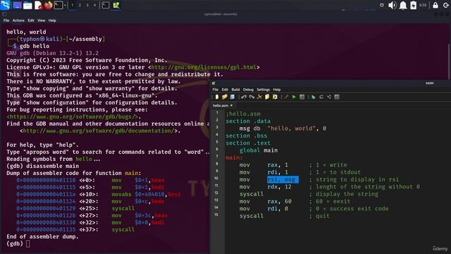 4.002 Debugging and Finding Variables in Memory addresses смотреть онлайн