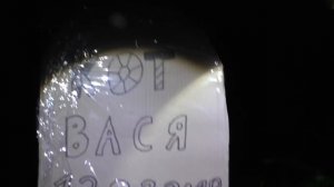 НОЧЬ НА КЛАДБИЩЕ БЕЗДОМНЫХ ЖИВОТНЫХ ПЛОХО ЗАКОНЧИЛАСЬ... ОДИН ИЗ НАС НЕ ВЕРНУЛСЯ