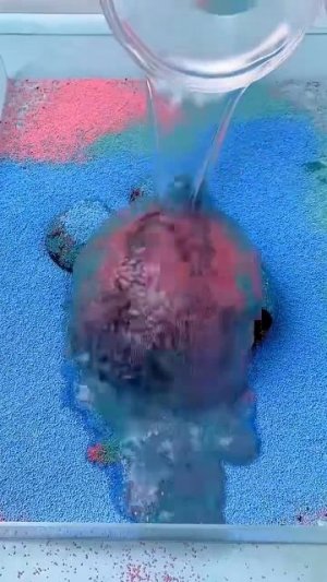 Вы глупые 🧢🧢 Загляни в комм! 🫶