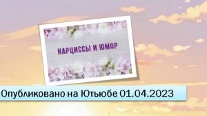 Нарциссы и юмор (фрагменты эфира от 01.04.2023)