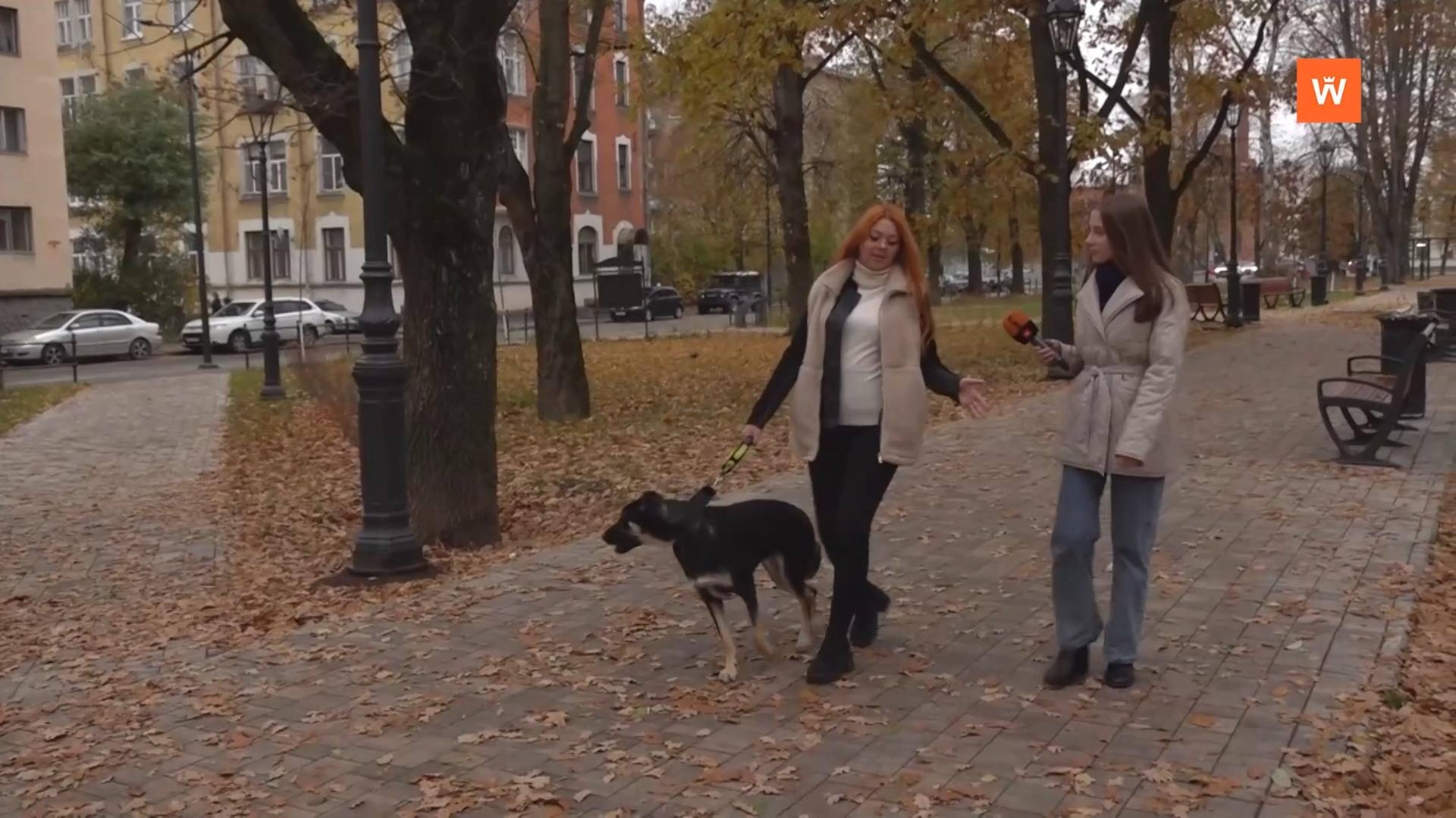 Программа «Город. Новости по-выборгски» от 23 октября 2025 года смотреть онлайн