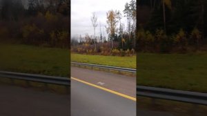 Самолёты в небе Подмосковья