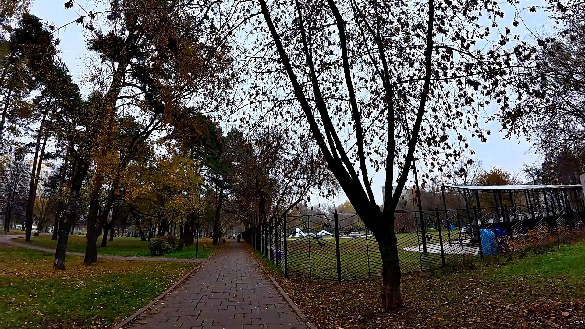 Парк Сосенки. Царицыно. Уличные молчаливые прогулки по городу. Часть 8. смотреть онлайн