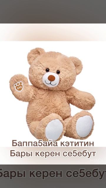 -7215267362749675213