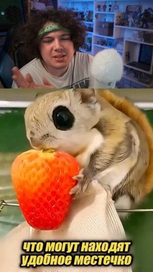 😱ПОЧЕМУ ОНИ ТАКИЕ МИЛЫЕ???