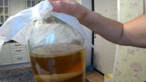 Как разделить чайный гриб?