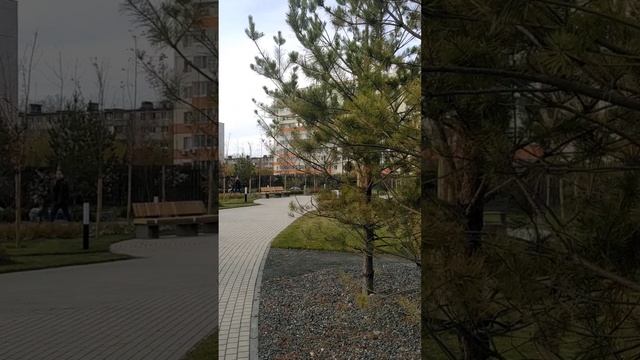 Новая часть Свияжской набережной у ЖК 