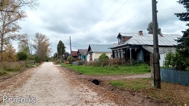 Деревня Алёшково Селивановского района Владимирской области 2025 год
