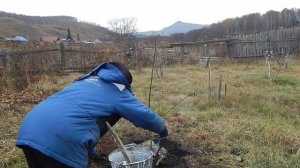 Осенний сад, обработал и побелил