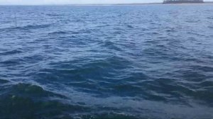 Песня «Как провожают пароходы»_Full-HD.mp4